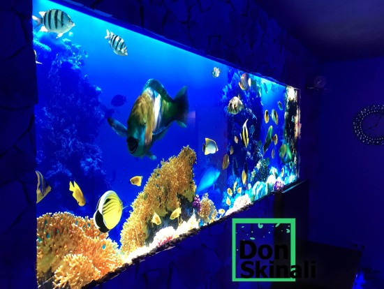 Szklane panele nie tylko do kuchni!